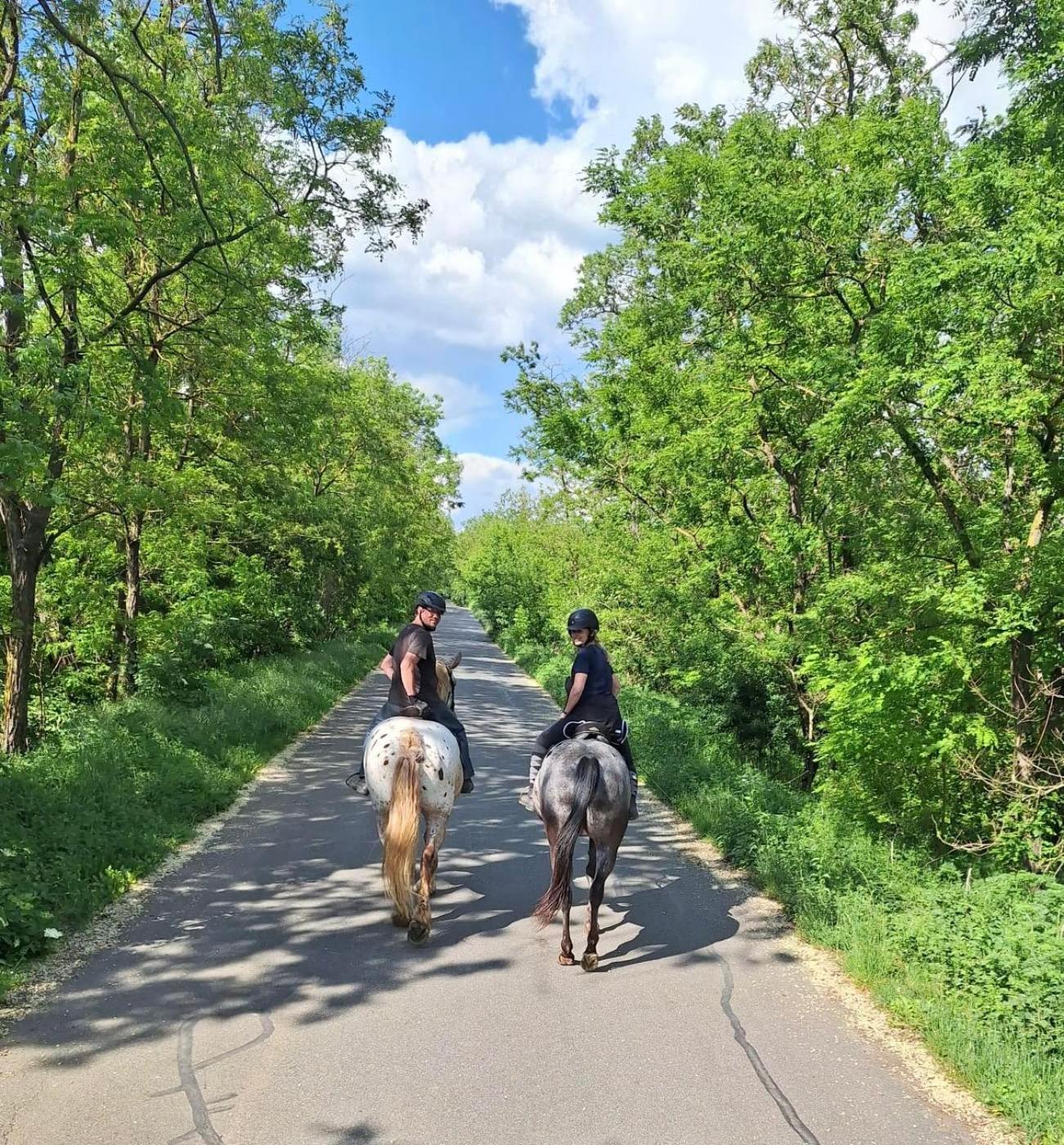 Penzion Horse Farm Lechovice Exterior foto